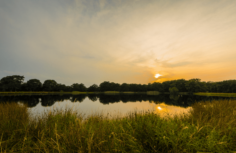Discover Drenthe on foot or by bike