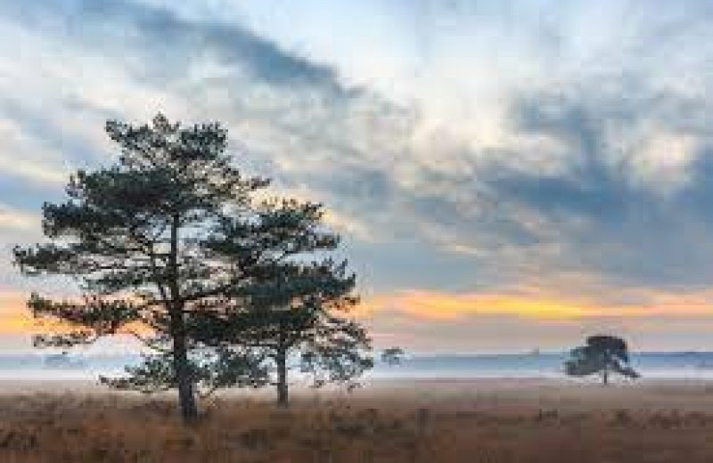 National park Drents-Friese Wold