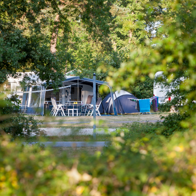 Come and have a good time camping