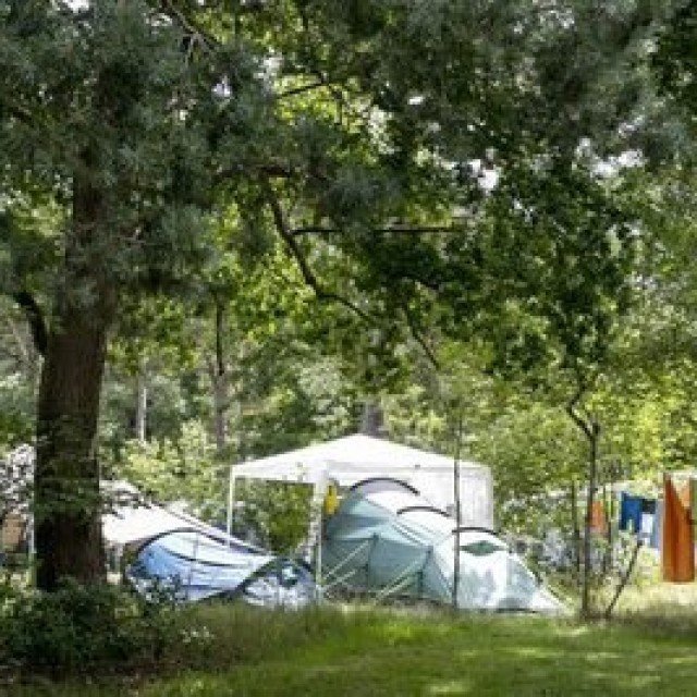 Late summer discount 15 days