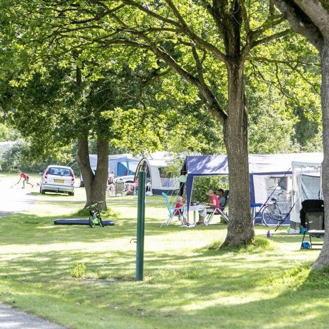 Late summer discount 22 days