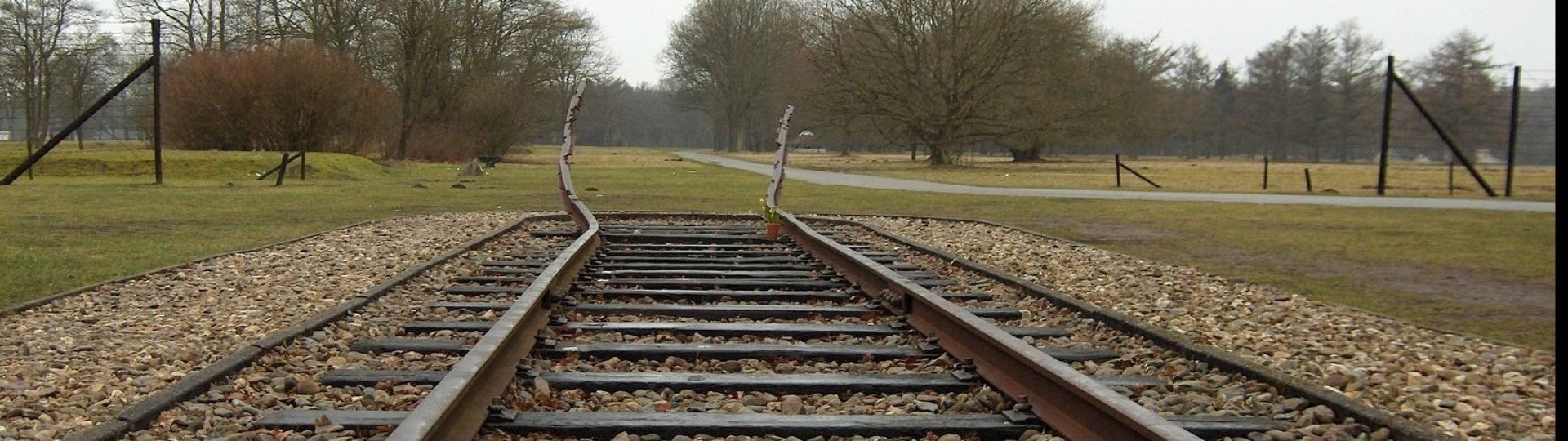 Optimized 66ebfb19d547b