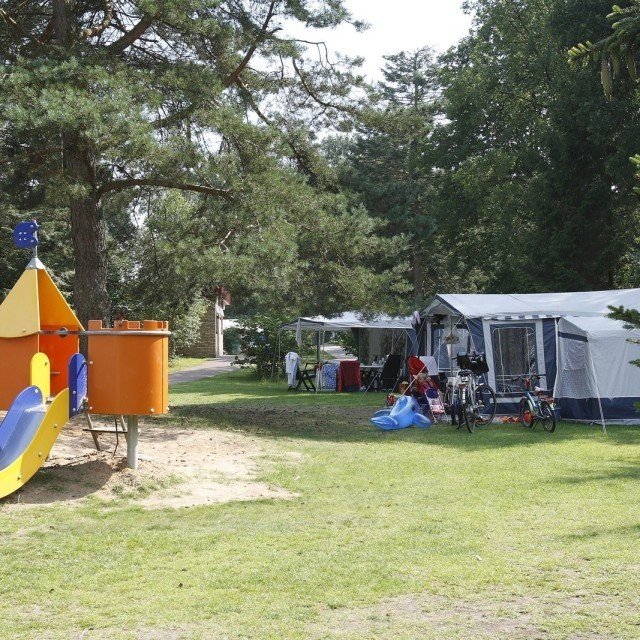 Summer week discount 2026