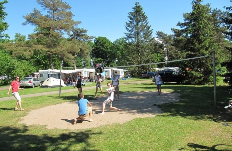 Volleybalveld kooisveld 033081f5 ac38 4775 8a59 23fea89407bb